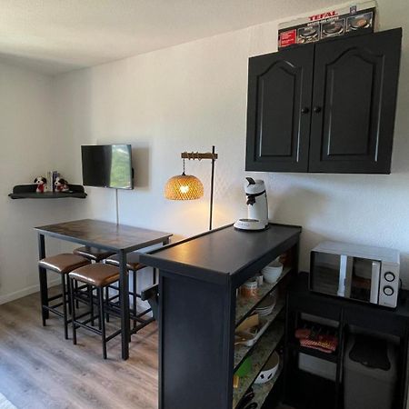 Studio Cosy 4 Couchages Avec Parking Et Balcon, Au Pied Telesiege Et Vente Forfaits A La Foux D'Allos Extérieur photo